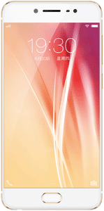 BBK VIVO X7 5.2-Inch Cell Phone Brand New Original